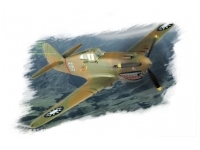 P-40B/C "Hawk"-81