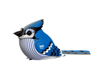 Eugy: Blue Jay